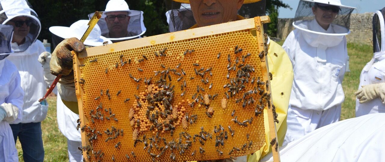 Wanneer moet je de brandstoffilter van een Citroƫn Berlingo vervangen