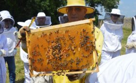 Wanneer moet je de brandstoffilter van een Citroën Berlingo vervangen