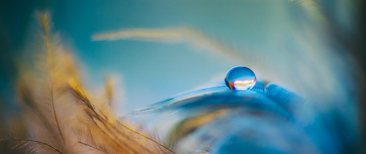 Wat betekent het oranje motormanagementlampje bij een Renault Clio