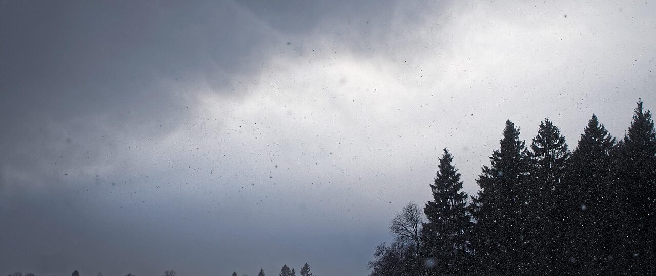 Waarom start mijn Skoda Fabia slecht bij koud weer