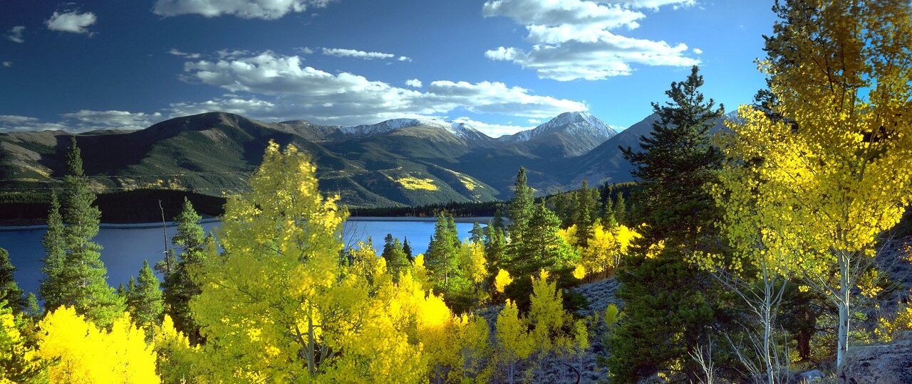 Wat betekent de melding ‘Service ESP’ bij een Citroën C4