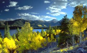 Wat betekent de melding ‘Service ESP’ bij een Citroën C4