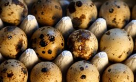 Wanneer moet je de EGR-klep reinigen van een Ford Transit