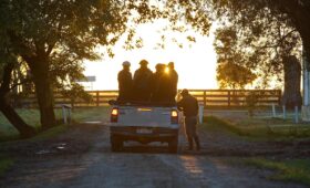 Hoe betrouwbaar is de Toyota C-HR Hybrid