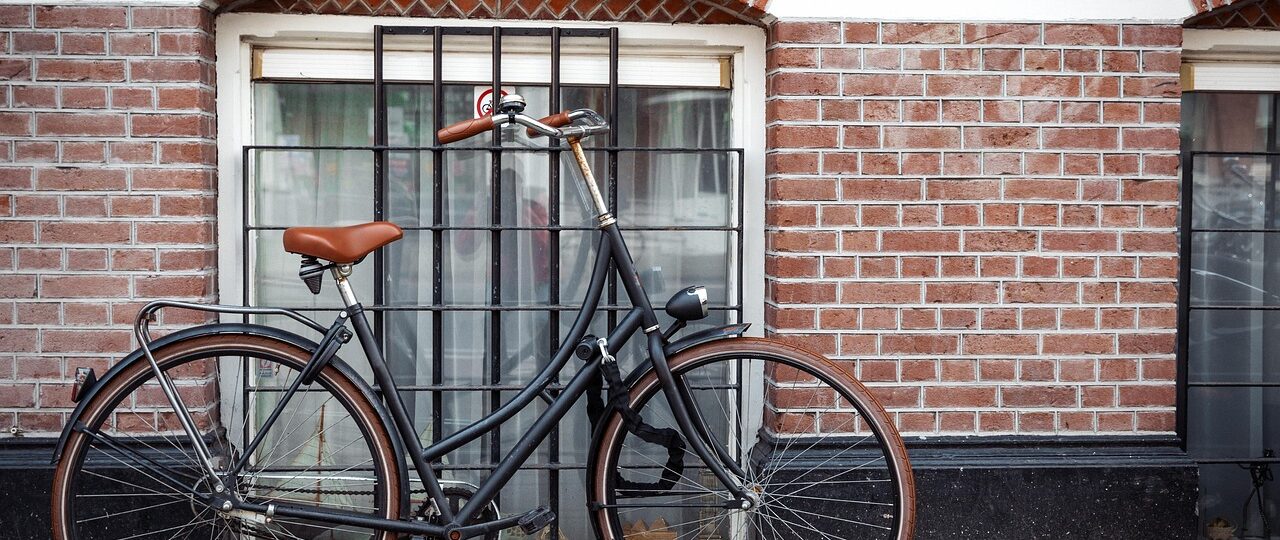 Veelvoorkomende problemen bij de Renault Zoe EV