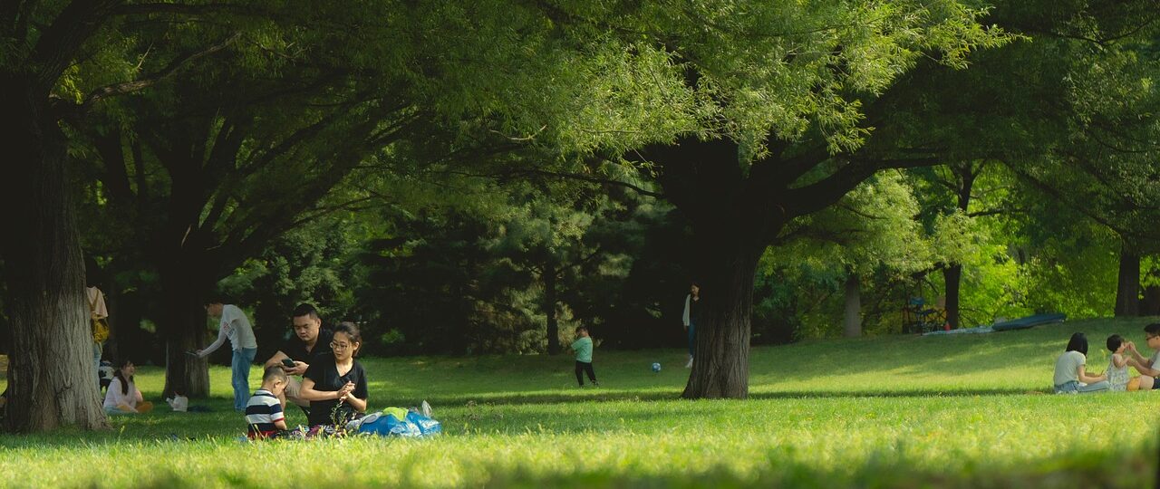Hoe reset je de boordcomputer van een Seat Ateca