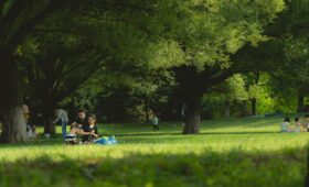 Hoe reset je de boordcomputer van een Seat Ateca